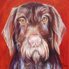 Chimo dog portrait by artist Kate Green