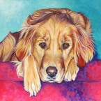 Chloë dog portrait by artist Kate Green