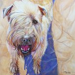Devon dog portrait by artist Kate Green