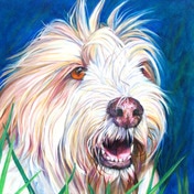 Dog portrait by artist Kate Green