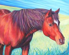 Sam Horse Painting by artist Kate Green