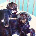 Maddy and Toby dog portrait by artist Kate Green