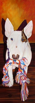 Bull Terrier Dog Portrait by artist Kate Green